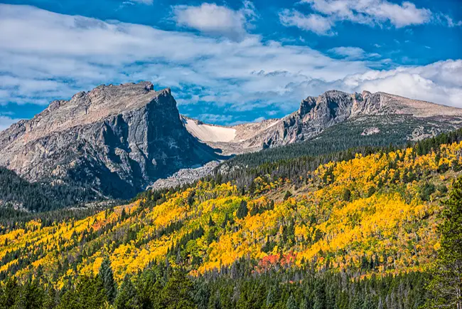 Bear Lake Road golden Aspens